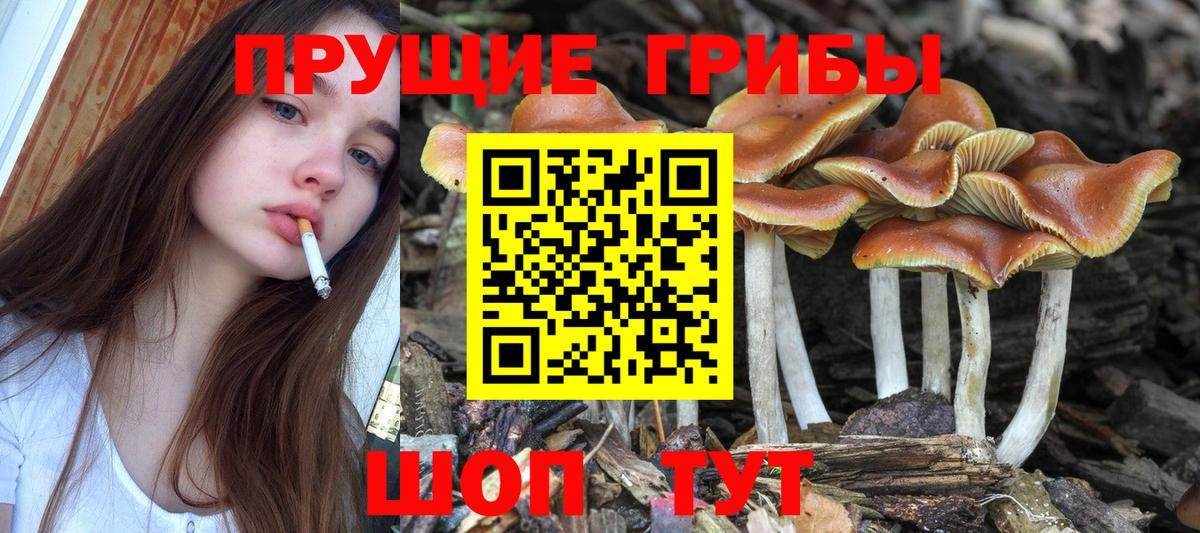 Псилоцибиновые грибы Magic Shrooms Сердобск