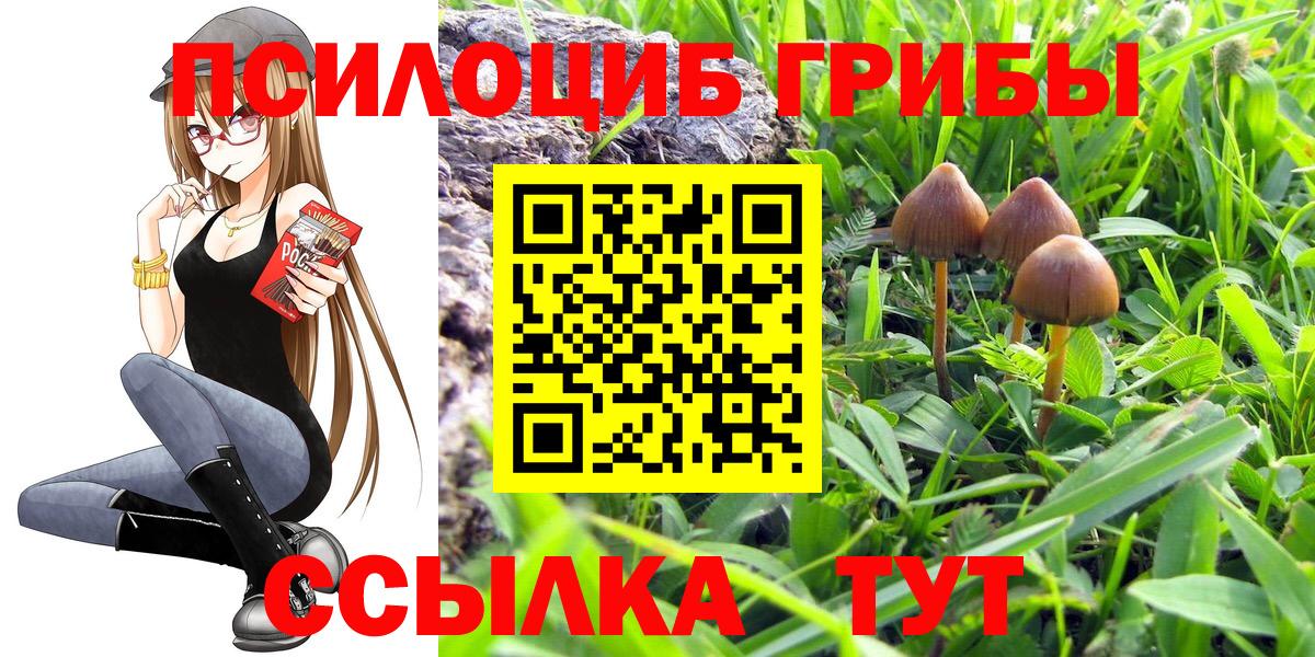 Бошки Шишки  Сердобск  ГАШИШ  Наркошоп  Экстази  Меф МЯУ МЯУ   Вход с VPN 